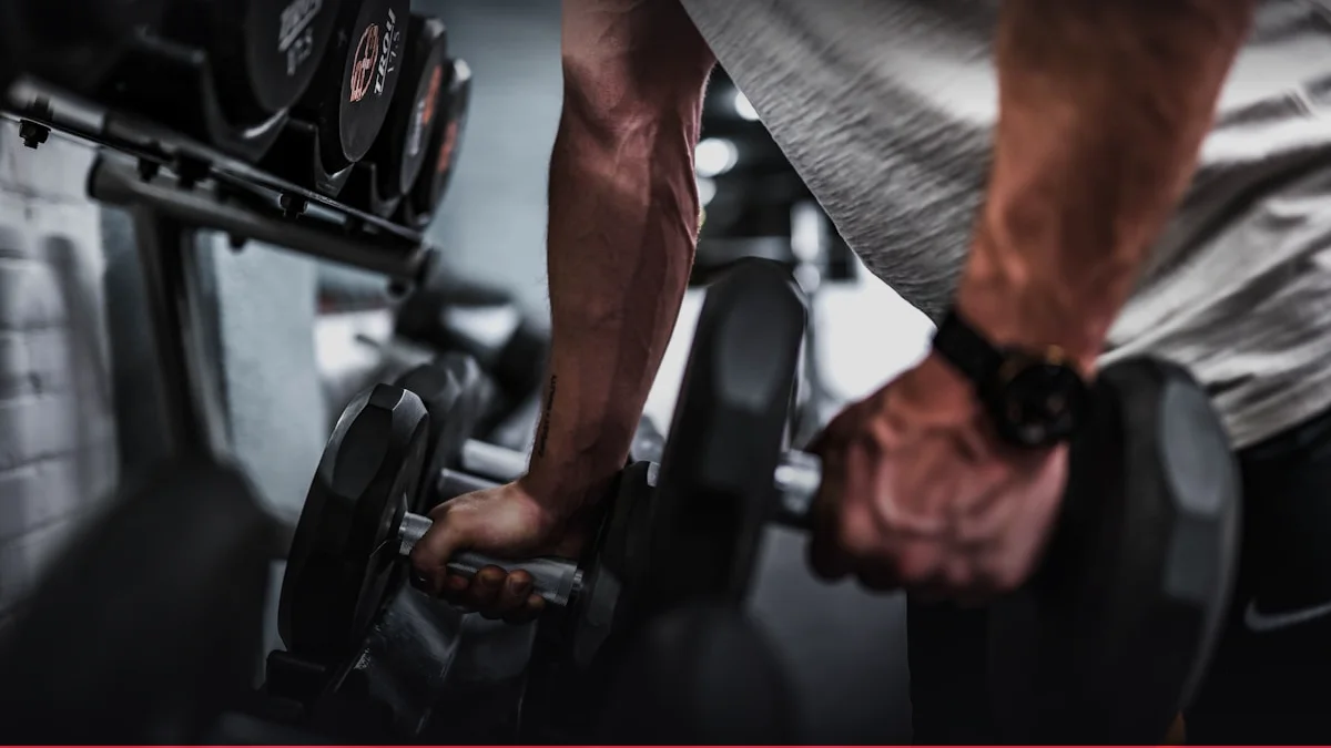 muscles_biceps